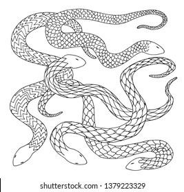 Snake Tattoo Images, Stock Photos & Vectors | Shutterstock