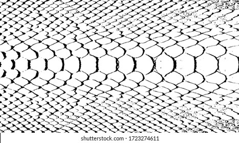 Snakeskin pattern imitation. Lines and spots structural texture. Cool and artsy faux leather background. Abstract vector illustration. Black isolated on white. EPS10 