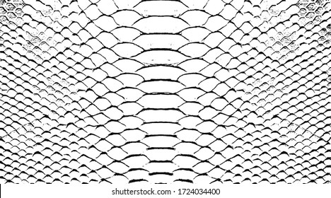 Snakeskin pattern imitation. Lines and spots structural texture. Cool and artsy faux leather background. Abstract vector illustration. Black isolated on white. EPS10 