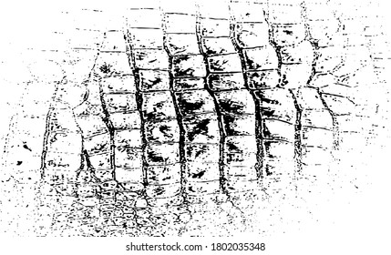 Snakeskin pattern imitation. Lines and spots structural texture. Cool and artsy faux leather background. Abstract vector illustration. Black isolated on white. EPS10 