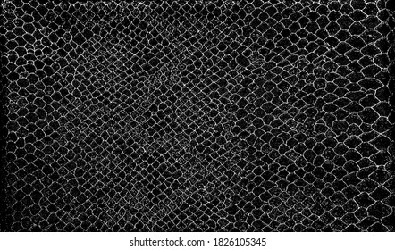 Snakeskin pattern imitation. Lines and spots structural texture. Cool and artsy faux leather background. Abstract vector illustration. Black isolated on white. EPS10 