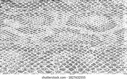 Snakeskin pattern imitation. Lines and spots structural texture. Cool and artsy faux leather background. Abstract vector illustration. Black isolated on white. EPS10 