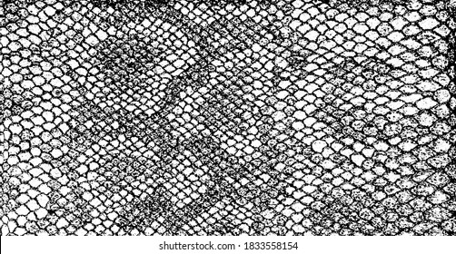 Snakeskin pattern imitation. Lines and spots structural texture. Cool and artsy faux leather background. Abstract vector illustration. Black isolated on white. EPS10 