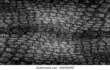 Snakeskin pattern imitation. Lines and spots structural texture. Cool and artsy faux leather background. Abstract vector illustration. Black isolated on white. EPS10 