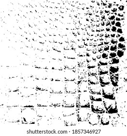Snakeskin pattern imitation. Lines and spots structural texture. Cool and artsy faux leather background. Abstract vector illustration. Black isolated on white. EPS10 
