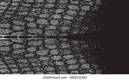 La imitación del patrón de Snakeskin. Textura estructural de líneas y puntos. El fondo de cuero fresco y artístico falso. Ilustración del vector abstracto. Negro aislado en blanco. EPS10 