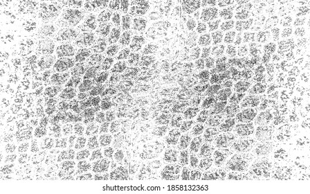 Snakeskin pattern imitation. Lines and spots structural texture. Cool and artsy faux leather background. Abstract vector illustration. Black isolated on white. EPS10 