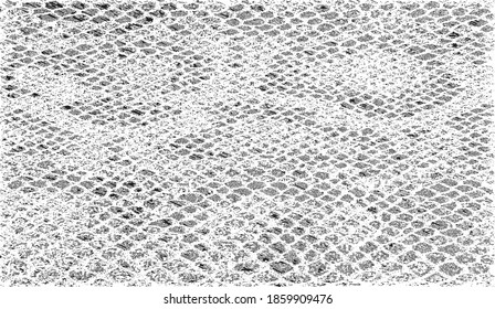 Snakeskin pattern imitation. Lines and spots structural texture. Cool and artsy faux leather background. Abstract vector illustration. Black isolated on white. EPS10 