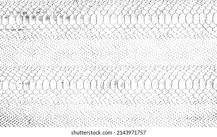 Snakeskin pattern imitation. Lines and spots structural texture. Cool and artsy faux leather background. Abstract vector illustration. Black isolated on white. EPS10 