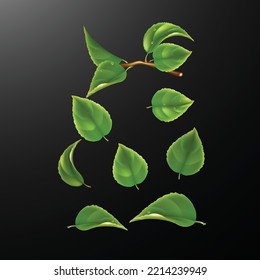 snall tree leaf vector water droplets design template 