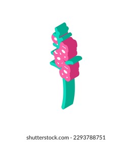 snapdragon blossom Frühlingsisometrie Symbol Vektorgrafik. Schnappdrachenblüte Frühlingszeichen. einzelne Symbolillustration