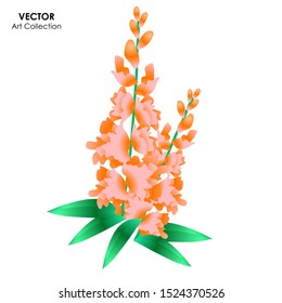 Snapdragon flower isolate, Vector illustration design element