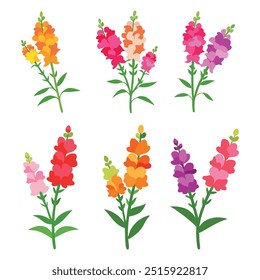 Snapdragon flower set isolated flat vector illustration on white background