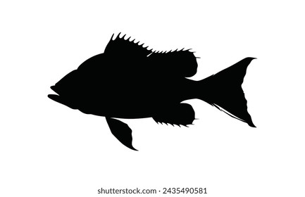 fondo blanco de la silueta de snapper negro