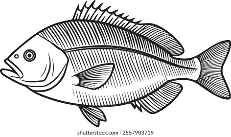 Snapper Fish: Popular Catch for Seafood, Fishing, and Coastal Content