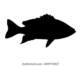 Snapper Fish silhouette vector art