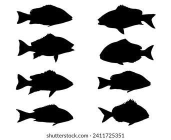 Snapper Fish silhouette vector art white background