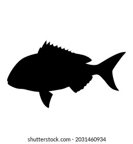 snapper fish, vector illustration,  black silhouette, side view