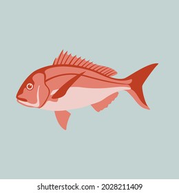 snapper fish, vector illustration, flat style, side view