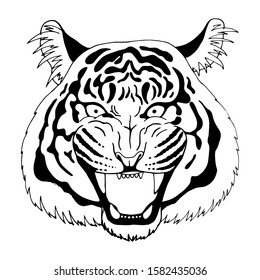 Snarling face of a tiger, isolated on white background, vector illustration