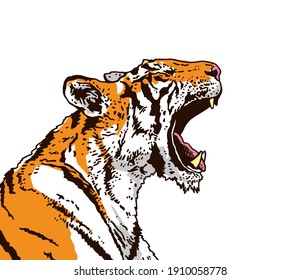 A snarling tiger in profile. The grin of a tiger. Detailed drawing. The symbol of the new 2022. Vector illustration isolated on white background.