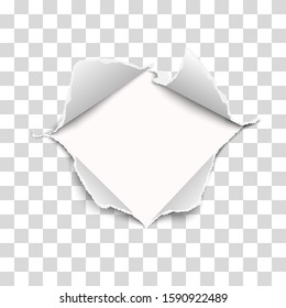 Snatched middle of vector transparent paper with torn edges, soft shadow and empty space. Damaged sheet of paper. Template paper design.