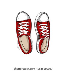 Sneakers isolated on white. Vector illustration.