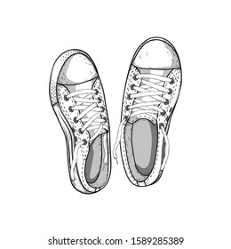 Sneakers isolated on white. Vector illustration.
