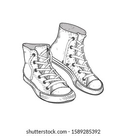 Sneakers isolated on white. Vector illustration.