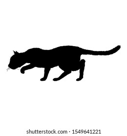 Sneaking Cat SIlhouette. Vector Black Feline Logo.