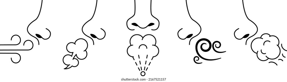 Sniff nose. Sense of smell, human breath and smelling. Inhale air and aromas vector Illustration set of smell sniff and sense nose