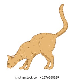 Sniffing Cat. Vector Cartoon Feline Illustration