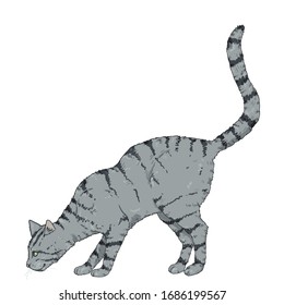 Sniffing Gray Striped Cat. Vector Cartoon Illustration