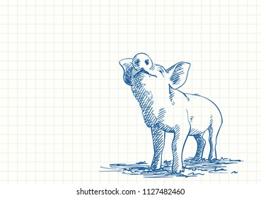 Sniffing pig, Blue pen sketch on square grid notebook page, Hand drawn vector illustration