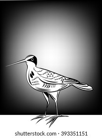 Snipe Bird
Snipe,   All elements are in separate layers color can be changed easily 