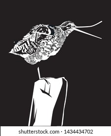 Snipe bird in black and white vector