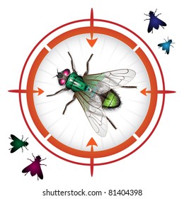 Sniper target with housefly