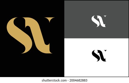 SN,NS Abstract Letters Logo monogram