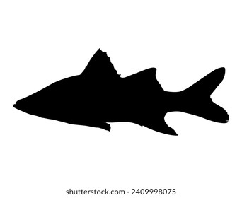 Snook Fish silhouette vector art white background