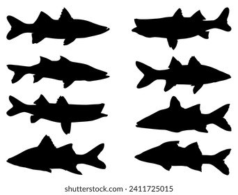 Snook Fish silhouette vector art white background