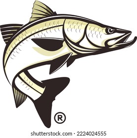 Snook Fishing Logo Vector. Unique and fresh snook fish jumping out of the water. great to use as your snook fishing activity. 