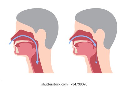 a snoring infographic / vector