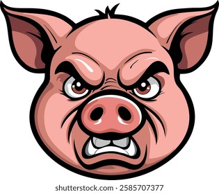 snout of an angry pig