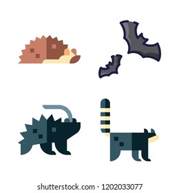 snout icon set. vector set about bats, racoon, porcupine and hedgehog icons set.