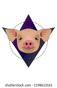 snout pig with tongue sticking out, pink patch, pale black eyes with pretty black eyes, against the background of space in geometric figures