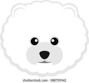 snow ball dog bear