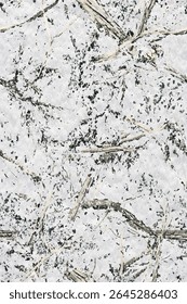 Padrão sem costura de camuflagem de neve com casca e galhos para equipamentos de caça, impressão de tecido, decoração de inverno e sublimação.
