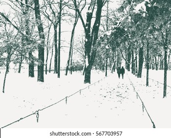 snow in a city park