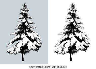 Árbol de nieve cubierta. Elemento de diseño vectorial aislado. Ilustración dibujada a mano en estilo de esbozo.  Plantilla de naturaleza. 