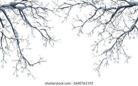 Snow covered tree branches winter, isolated winter trees, snow covered branches, wintertime weather, frosty tree branches, cold weather scene, snow covered nature background